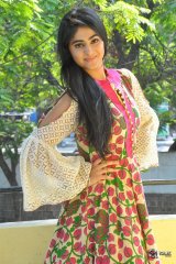 Palak Lalwani Latest Pics